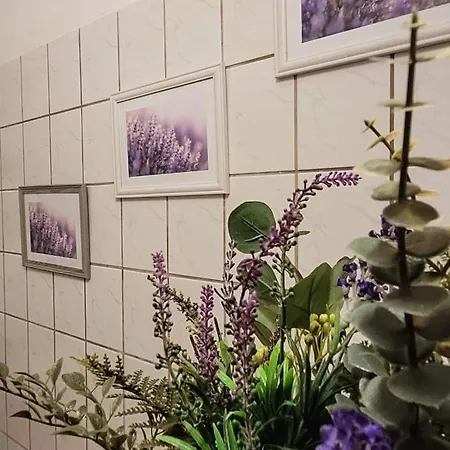Altstadtdomizil Morgenroete Görlitz Zewnętrze zdjęcie