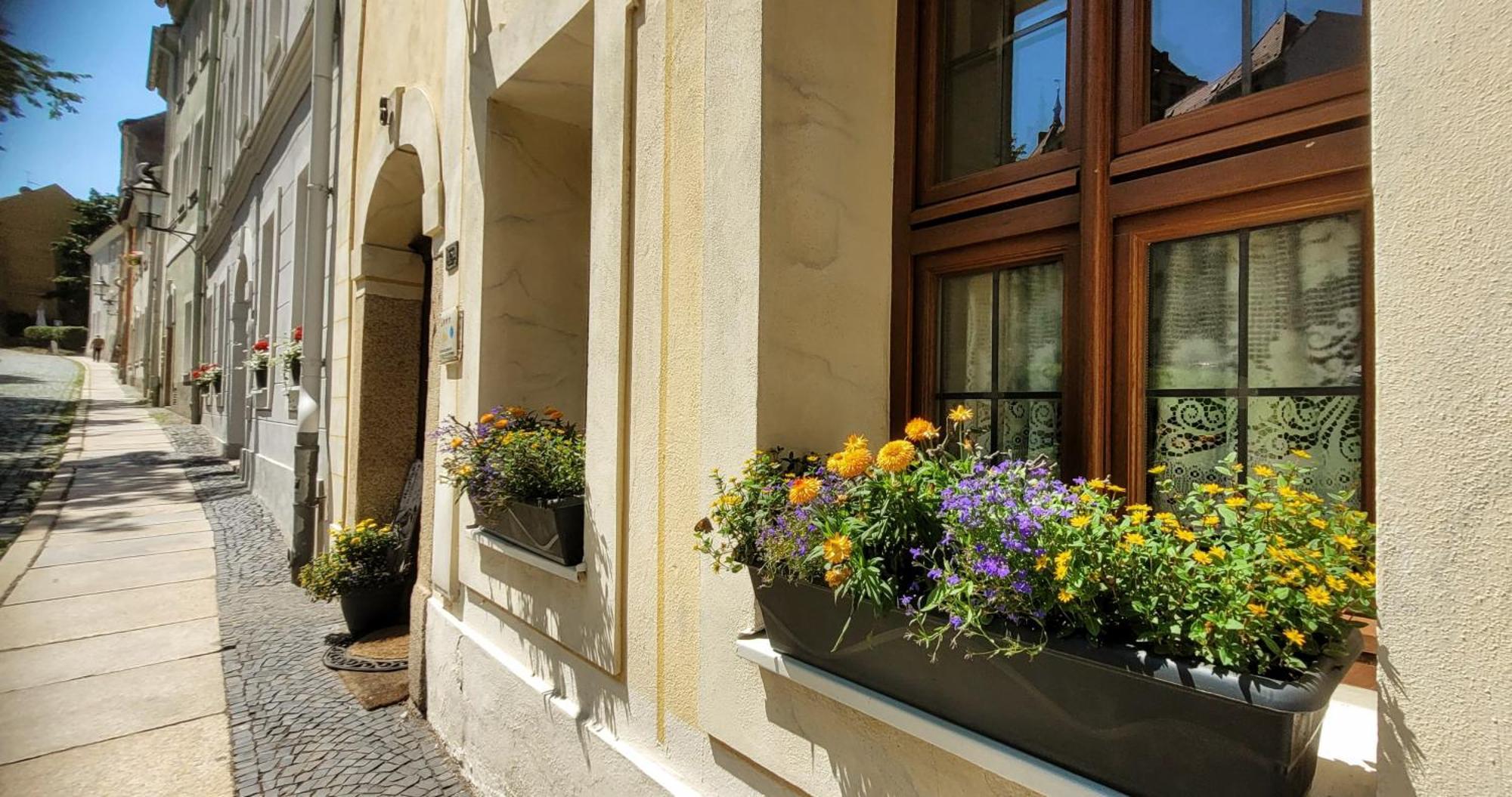 Homestay Altstadtdomizil Morgenroete