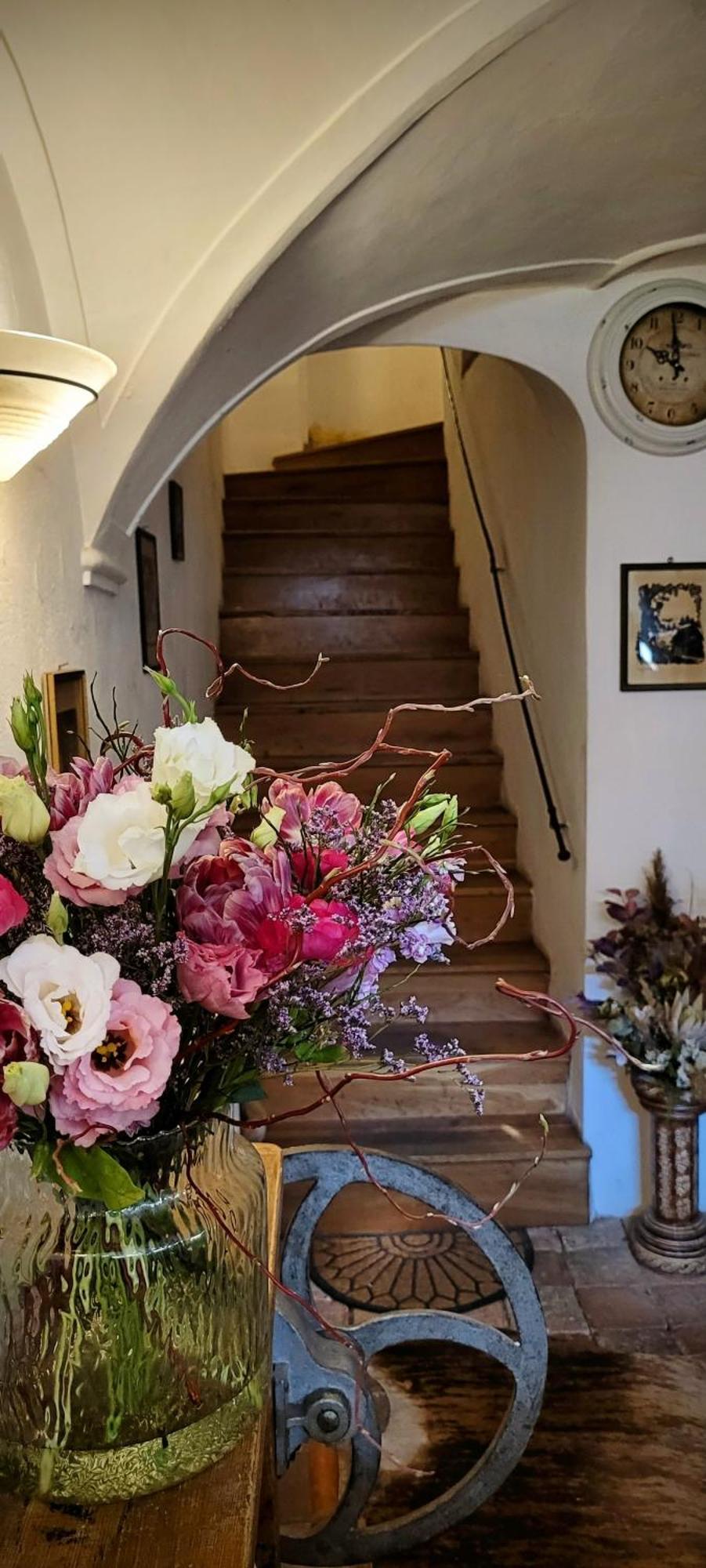 Altstadtdomizil Morgenroete Homestay