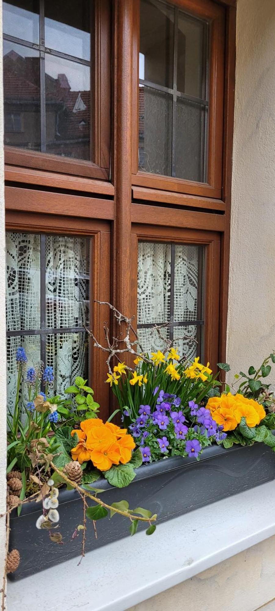 Homestay Altstadtdomizil Morgenroete *
